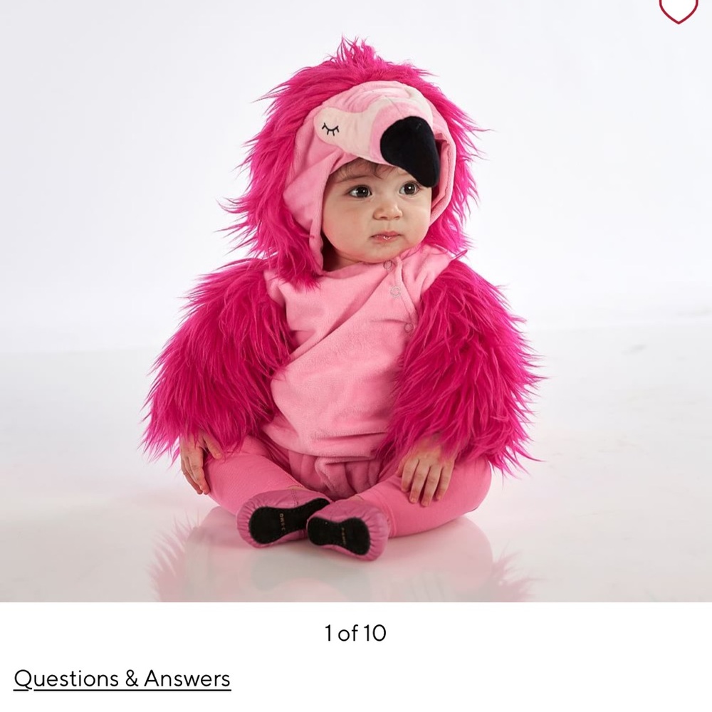 Pottery Barn Kids Flamingo Costume